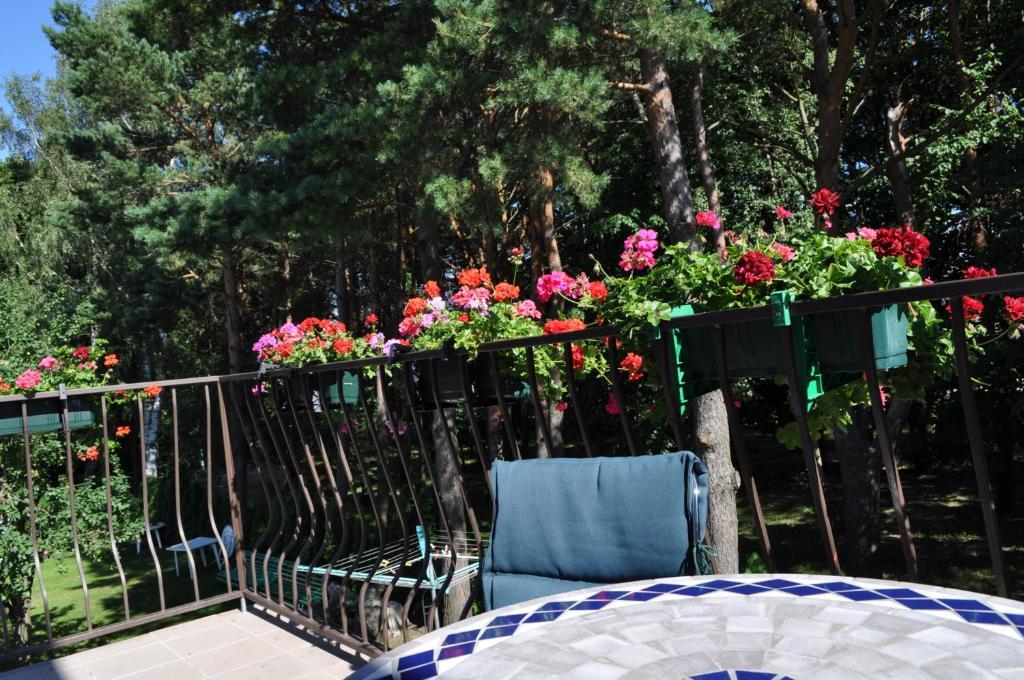 Agava Villa Palanga Dış mekan fotoğraf
