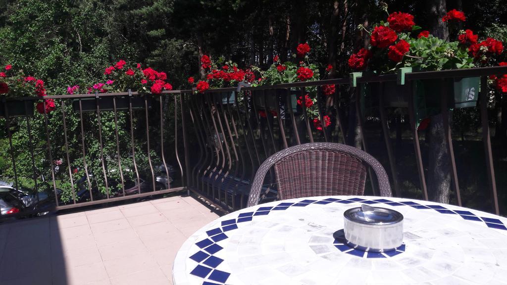 Agava Villa Palanga Dış mekan fotoğraf